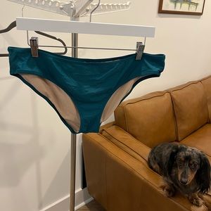 J. Crew Teal Blue Bikini Bottoms